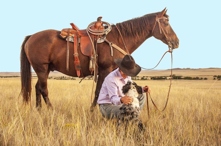 Kanada Bucketlist Reise Cowboy mit Pferd und Hund in der Prärie.