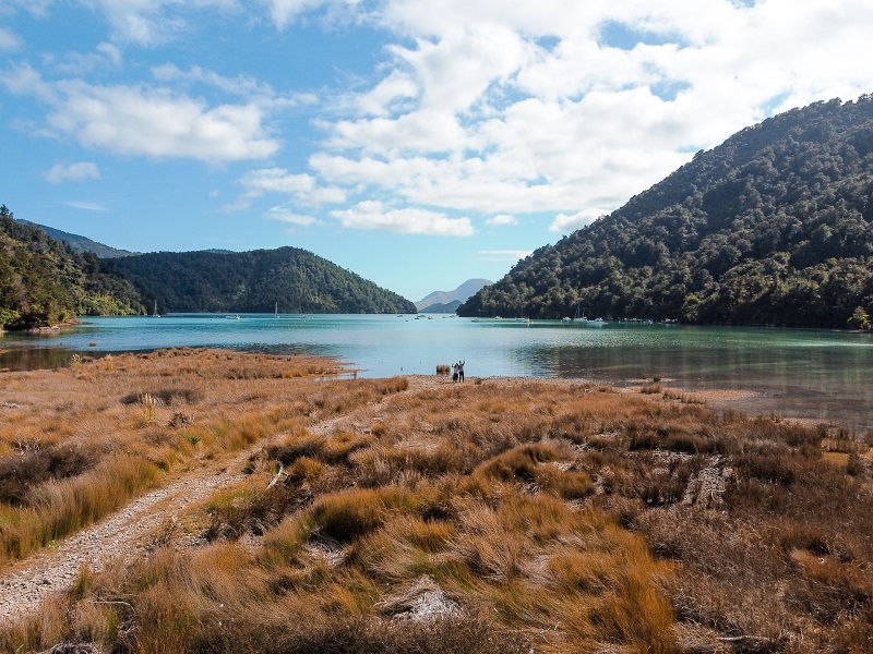 Ausblick in Marlborough auf Neuseelands Südinsel 