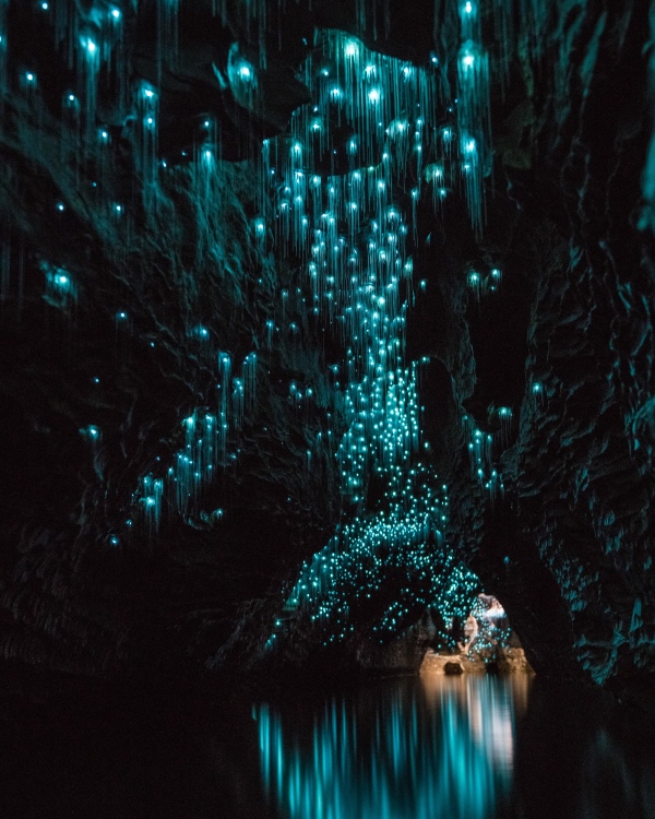 Waitomo Höhlen mit Glowworms