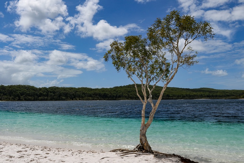 McKenzie See - ein weiteres Highlight der Fraser Island Tour