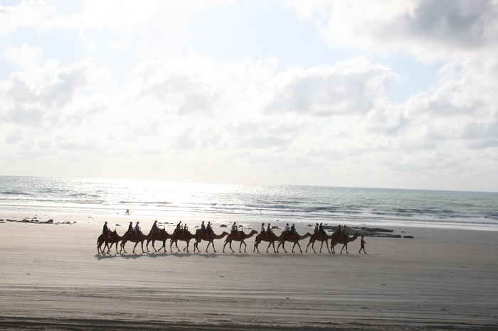 Kamelreiten in Broome am Strand#