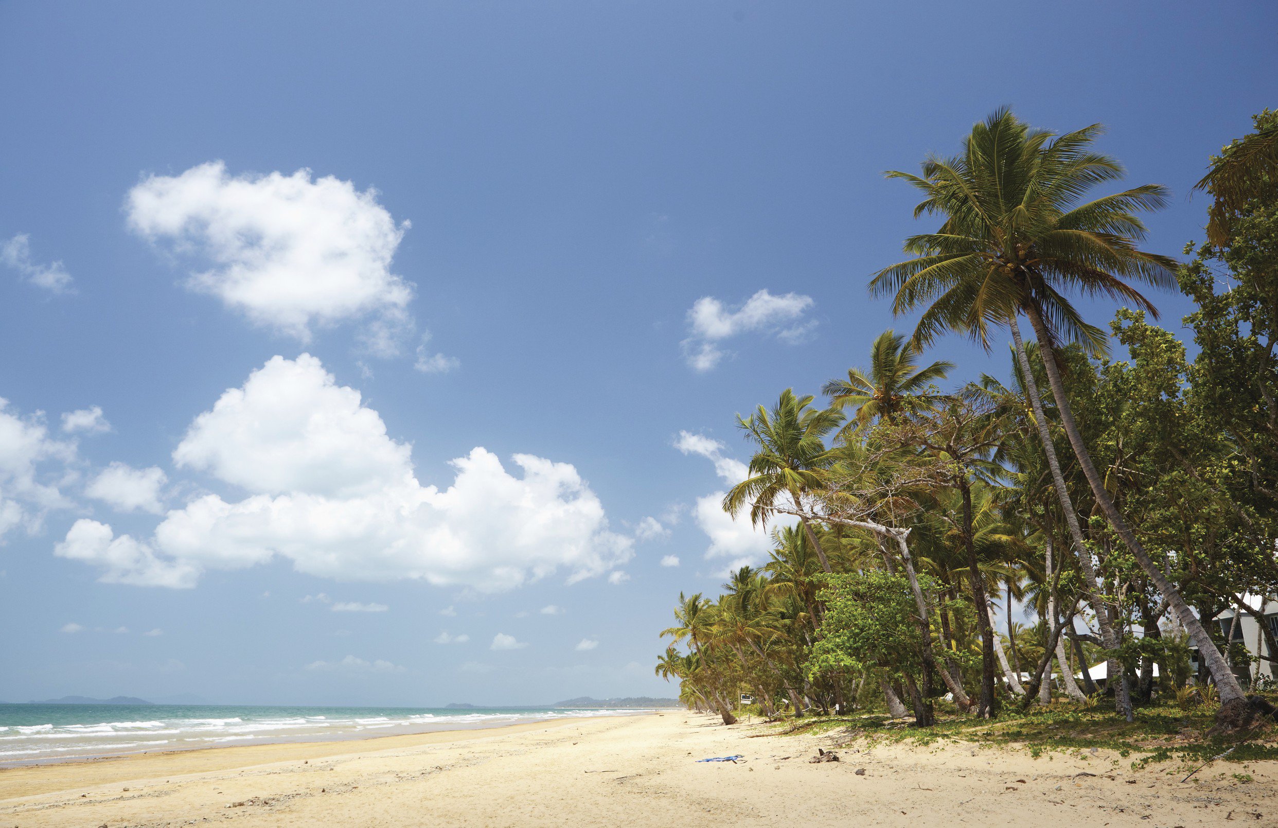 Strand, Palmenwälder und Meer bei Port Douglas