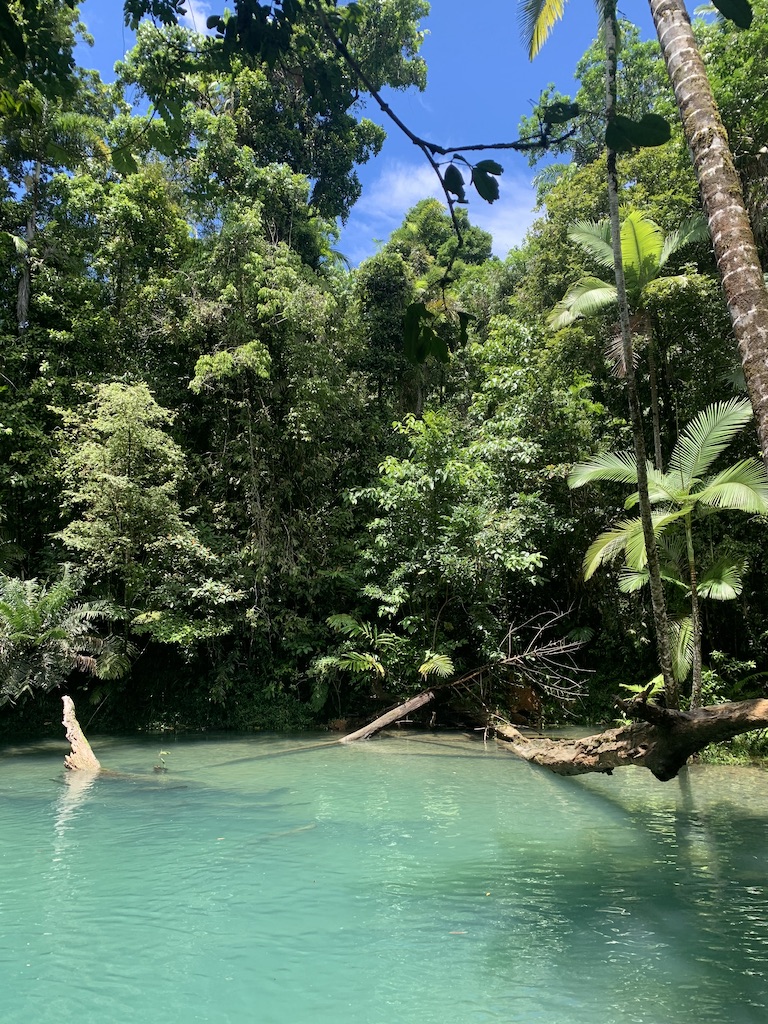 Daintree Rainforest Lagune