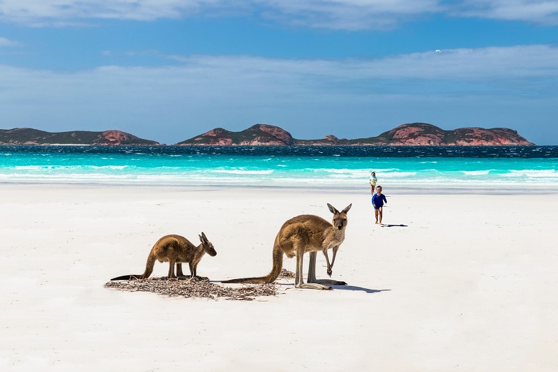 Fernreisen mit Kindern: Lucky Bay in Australien