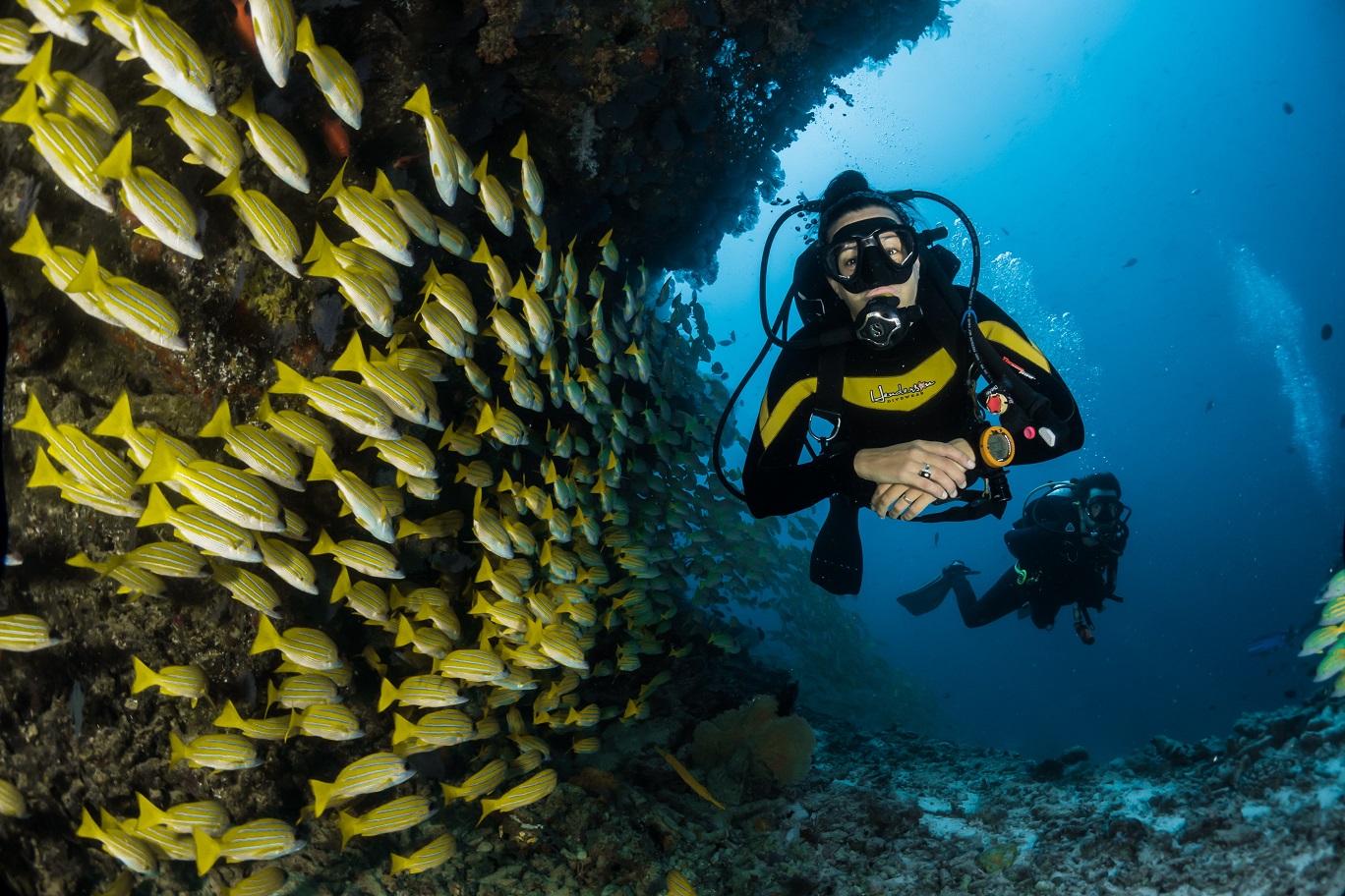 tauchen lernen australien germans travel diving great barrier reef