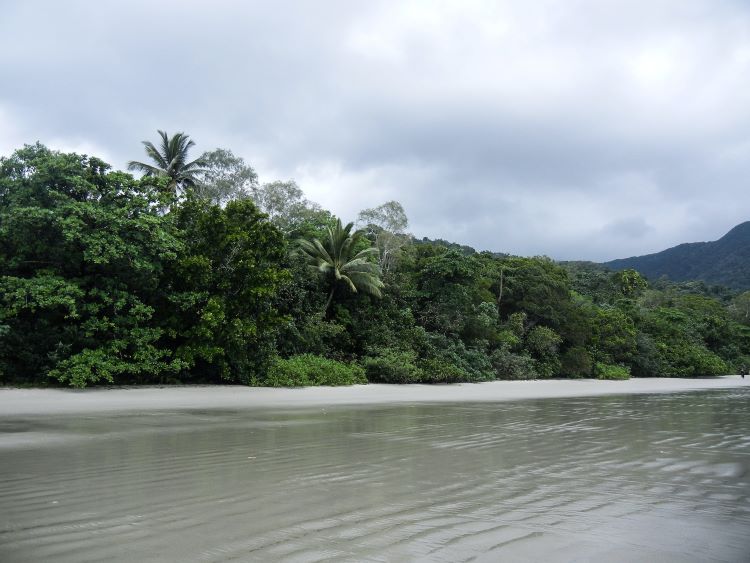Strand im Daintree Rainforest